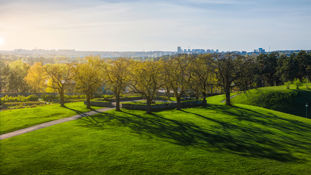 Almhöjden i Skogskyrkogården. Foto: Alexander Assal