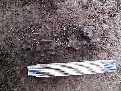 Ett spektakulärt fynd i form av en bälteskedja har hittats vid arkeologiska utgrävningar i Torslanda. Foto: Ulf Ragnesten/Göteborgs stadsmuseum