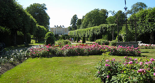 Julita gårds trädgård. Foto: Klara Holmqvist/Nordiska museet