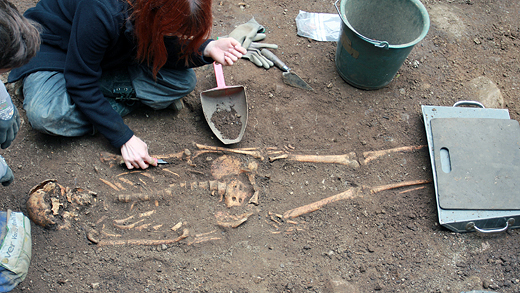 Manligt skelett från södra sidan av kyrkan. Foto: Göteborgs universitet