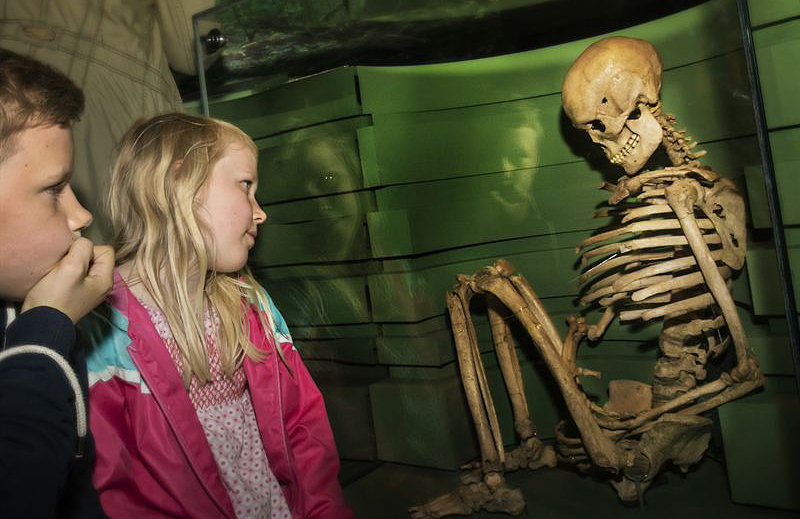 Det 9000 år gamla skelettet finns utställt på Historiska museet i Stockholm. Foto: Katarina Nimmervoll/Historiska museet