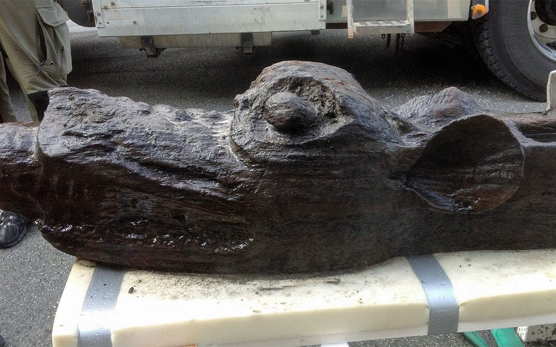 Färgrester på Gribshundens stävfigur