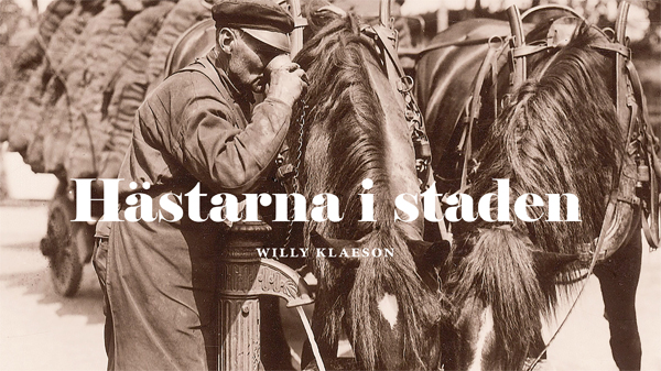 Hästarna i staden