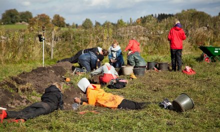 Utgrävning i Falköping avslöjar stenålderns jordbruk
