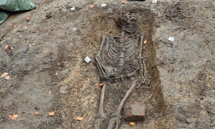 Medeltida skelett berättar Lunds historia