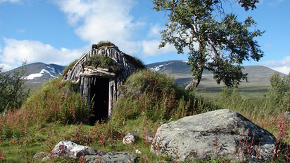 Samisk torvkåta i Pårek. Foto: Länsstyrelsen Norrbotten