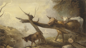 Kampen mot kreatursdöden under 1700-talet