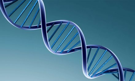 DNA-tester har blivit big business