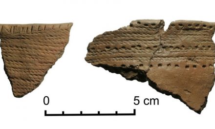 Kvinn­li­ga ke­ra­mi­ker spred ny ­tek­nik för 5000 år se­dan