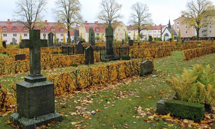 Allt blötare vintrar – ett hot mot gamla gravstenar