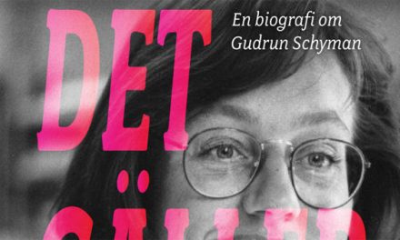 En biografi om Gudrun Schyman