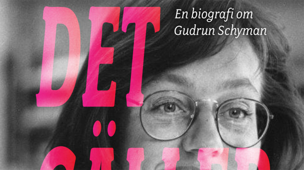 En biografi om Gudrun Schyman