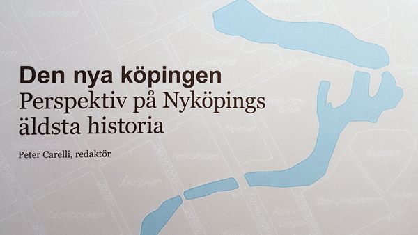 Perspektiv på Nyköpings äldsta historia