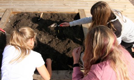 Arkeologiskola för femteklassare startas i Skåne