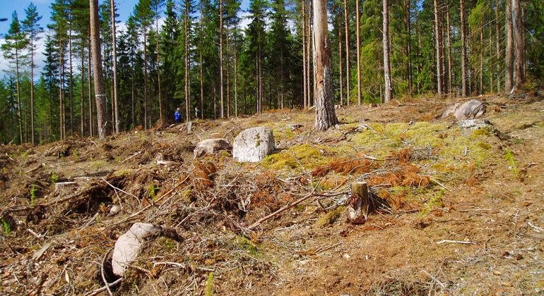 Skadat järnåldersgravfält i Månsarp. Foto: Länsstyrelsen i Jönköpings län