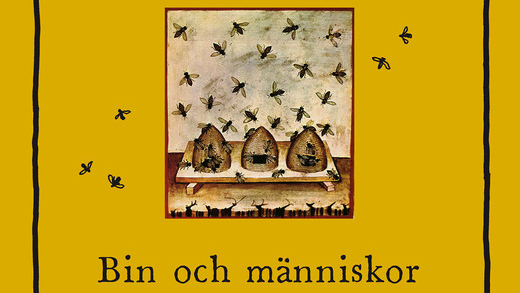 Bin och människor