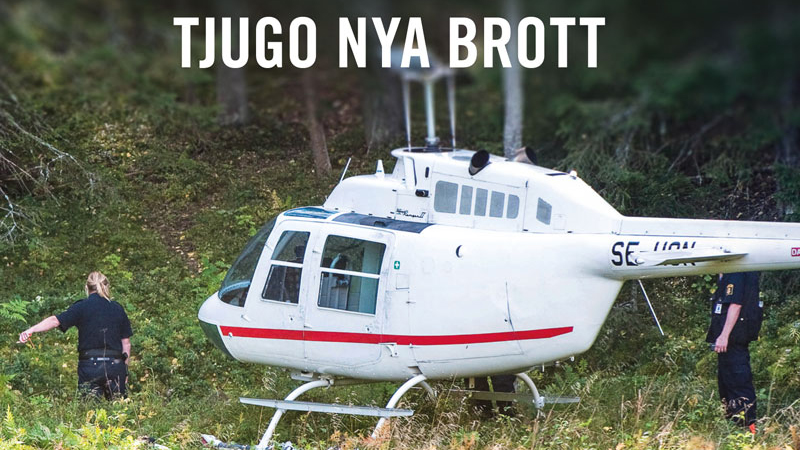 Tjugo nya brott som skakade Sverige