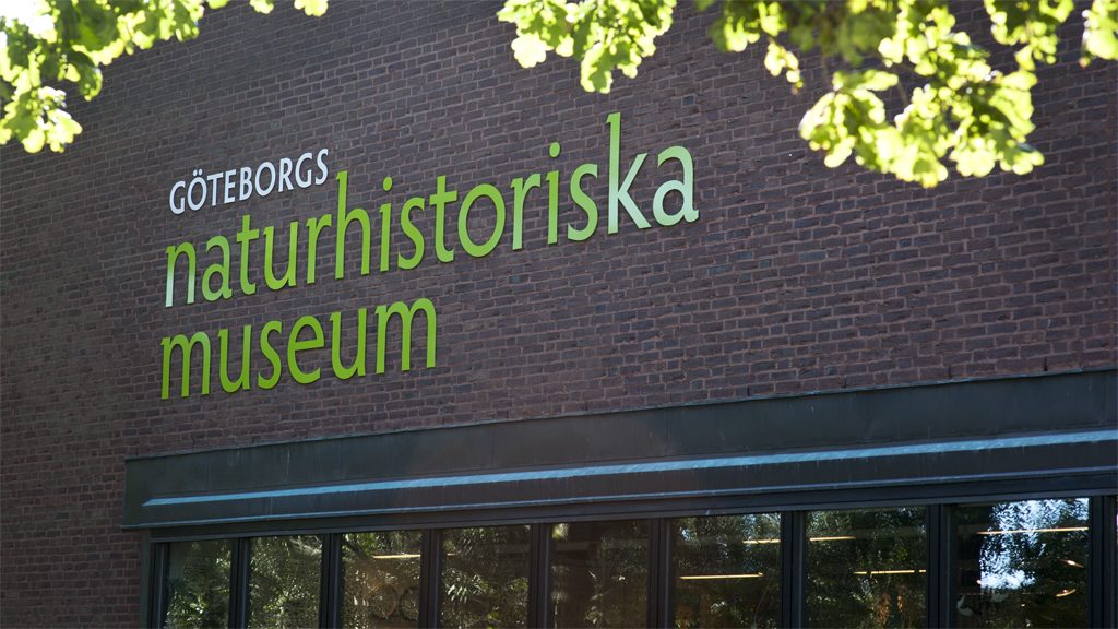 Fasaden på Göteborgs naturhistoriska museum. Foto: Ian Schemper