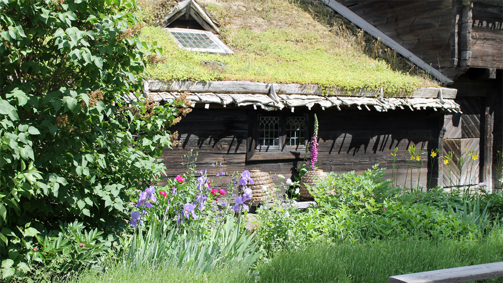 Kyrkhultstugan på Skansen återinvigs