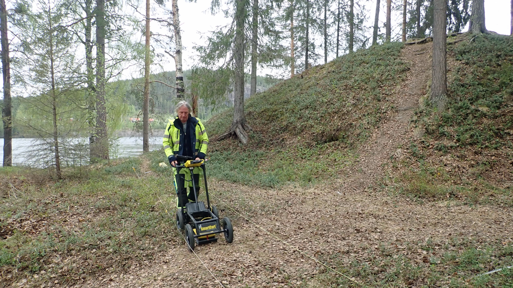 Högarna i Selholmen verkar vara gravhögar