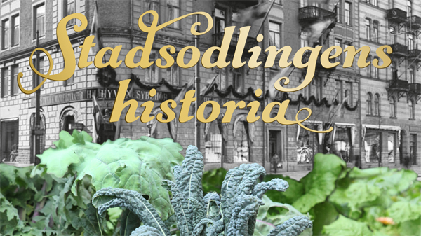 Stadsodlingens historia