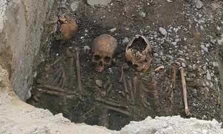 Fyra skelett hittade i centrala Västerås