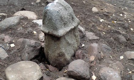 Oväntade fyndet: en stenpenis från bronsåldern