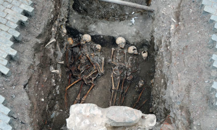 Unikt fynd av 1300-talsskelett vid Storkyrkan i Stockholm