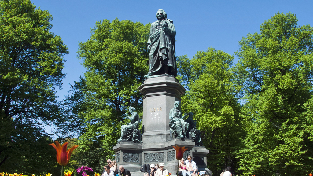 Fritjof Kjellbergs bronsstaty över Carl von Linné i Humlegården i Stockholm. Foto: I99pema (Wikimedia Commons CC BY-SA 3.0)