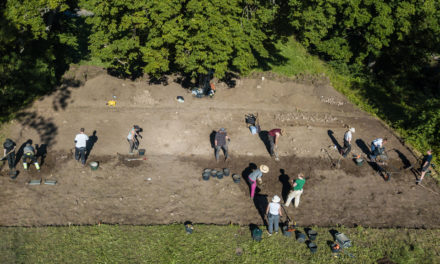 Forntida kungahall grävs ut i Östergötland