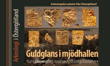 Arkeologi i Östergötland 2021