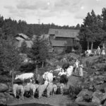 Sverige nominerar fäbodbruk till Unescos kulturarvslista 