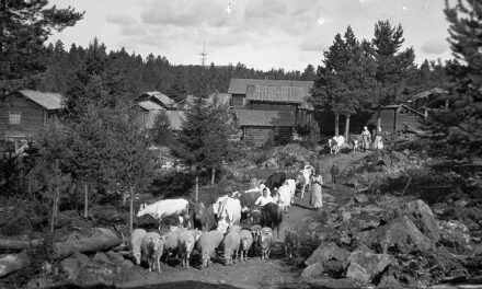 Sverige nominerar fäbodbruk till Unescos kulturarvslista 