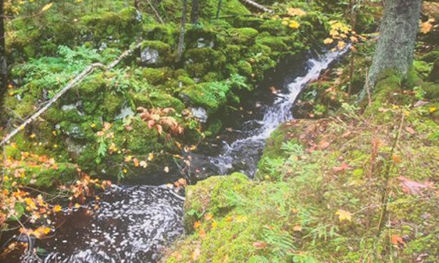 Bergsbrukets tider i Örebro län