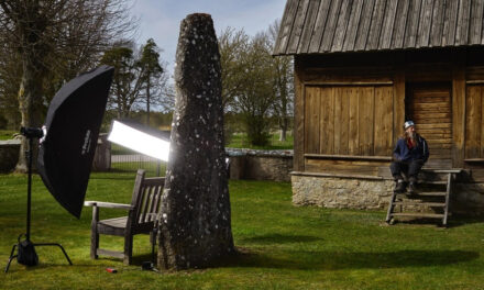 Gotlands bildstenar tillgängliga online
