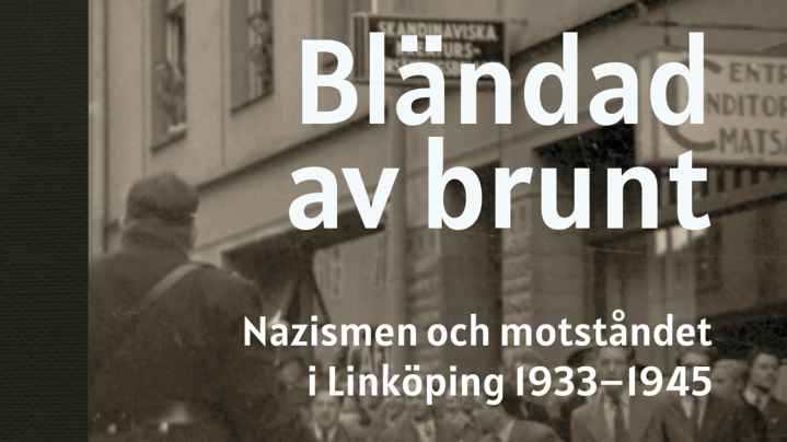 Nazismen och motståndet i Linköping 1933–1945