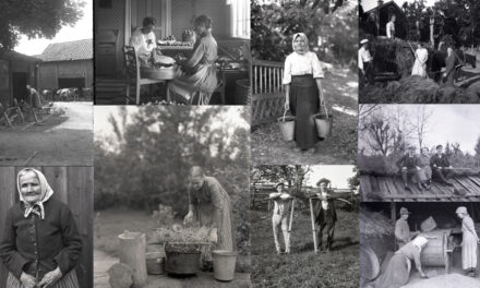 Kulturhistoriskt värdefull fotosamling digitaliserad