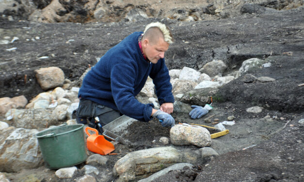 Hildebrandspriset till Fredrik Hallgren