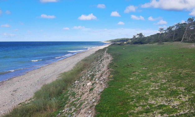 Hamn från järnåldern hittad på Gotska Sandön