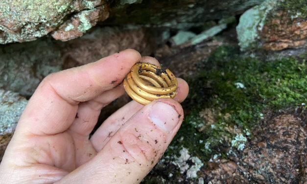 1 500 år gammalt guldfynd i Tanum