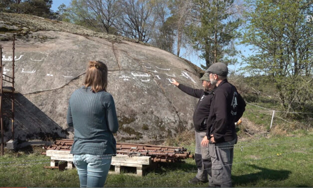 Rekordstort hällristningsfynd i Bohuslän