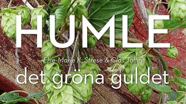 Humle – det gröna guldet