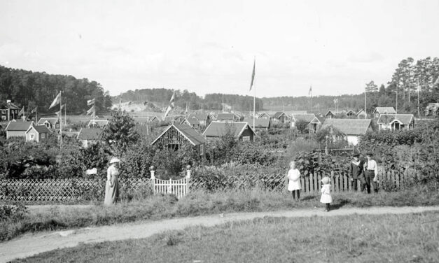 Koloniträdgårdar, fjällvärld och öppen museidata får forskningsanslag