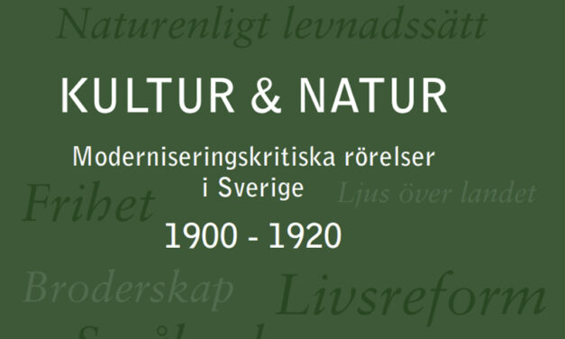 Reformrörelser i Sverige 1900-1920