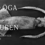 Med öga på naturen – fåglar, fossiler och fotografier