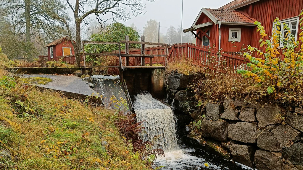 Kulturreservatet Pershyttan i Örebro län. Foto: Anna Östling (CC BY).
