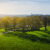 Almhöjden i Skogskyrkogården. Foto: Alexander Assal