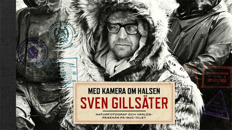 Sven Gillsäter – naturfotograf och världsresenär på 1900-talet