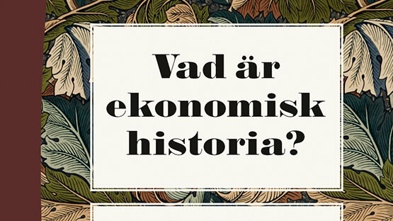 Vad är ekonomisk historia?