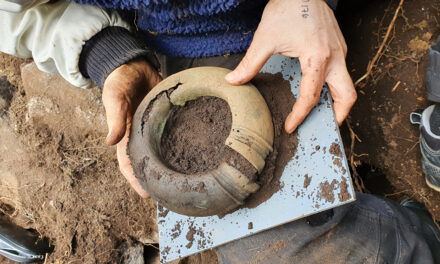 Förhandsvisning av bronsåldersfynden från Alingsås